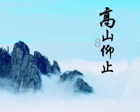 逃离荒废丛林屋
